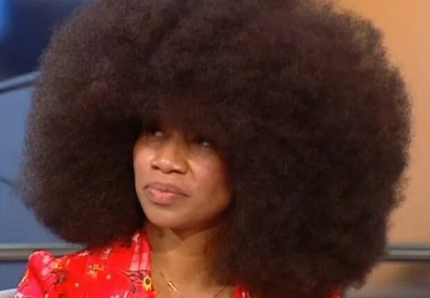 Прическа много волос Aevin Dugas holds the Guinness World Record for largest Afro! #LimelightApproved