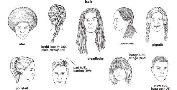 Прическа на английском Describe your hair English language learners, Language learners, English languag