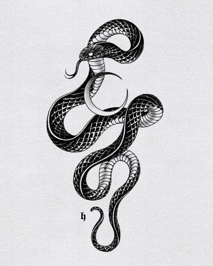 Прическа на год змеи Pin on Tattoo Snake tattoo design, Black snake tattoo, Cobra tattoo