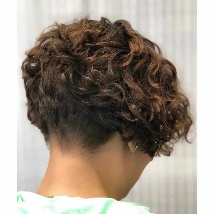 Прическа на короткие кудрявые волосы для женщины Top 15 Curly Hairstyles 2022 For All Hair Length (45 Photos Videos) Short curly 