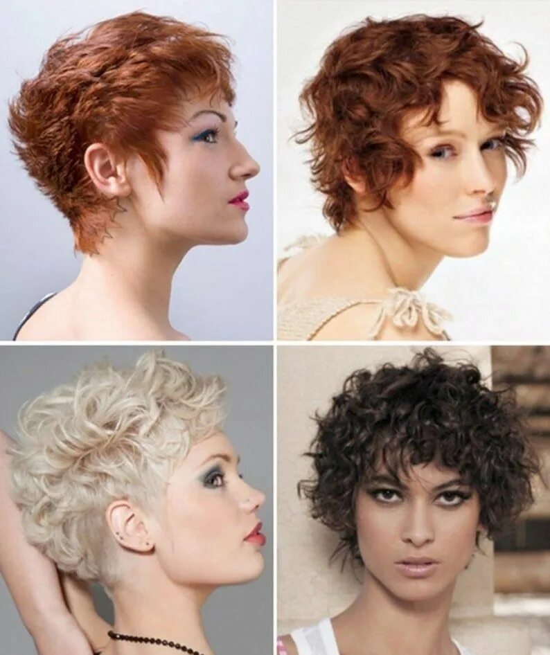 Прическа на короткие кудрявые волосы для женщины Pin on Стрижка Medium short hair, Short curly hair, Short hair pictures