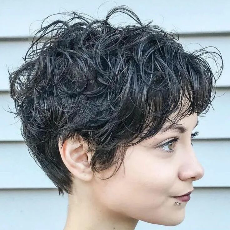 Прическа на короткие вьющиеся Curls of Tinsel Short shag hairstyles, Curly pixie hairstyles, Short curly hairc