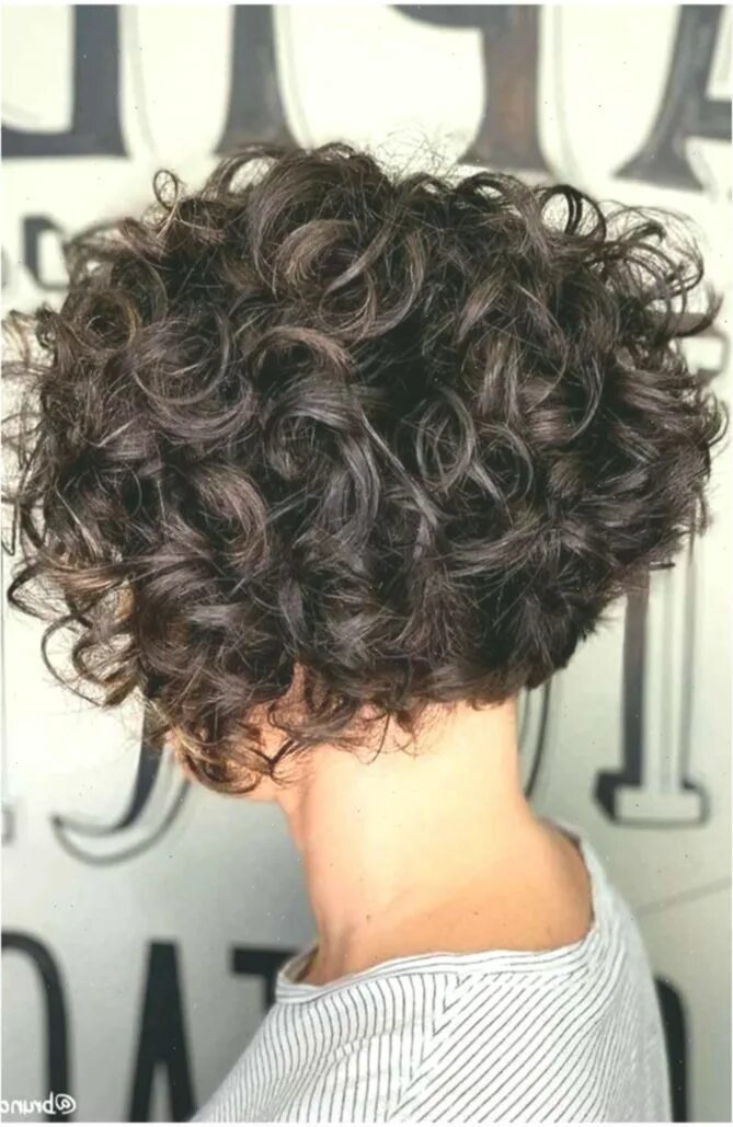 Прическа на короткие вьющиеся волосы 55 Beloved Short Curly Hairstyles for Women of Any Age! #lockigeFrisuren #shortc