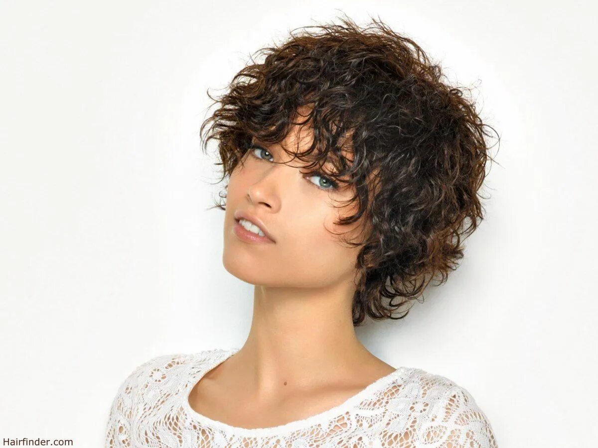 Прическа на короткие вьющиеся волосы Short curly hairstyles for women, Haircuts for curly hair, Curly hair styles