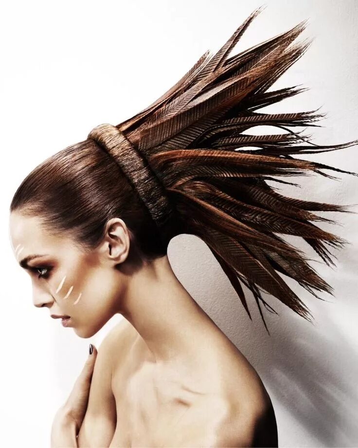 Прическа перья Frederic Belanger on Twitter Hair styles, Artistic hair, Hairstyle gallery