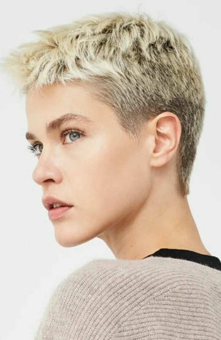 Прическа под ежика женская Pin by Linda van Strien on just short Short hair styles pixie, Super short hair,