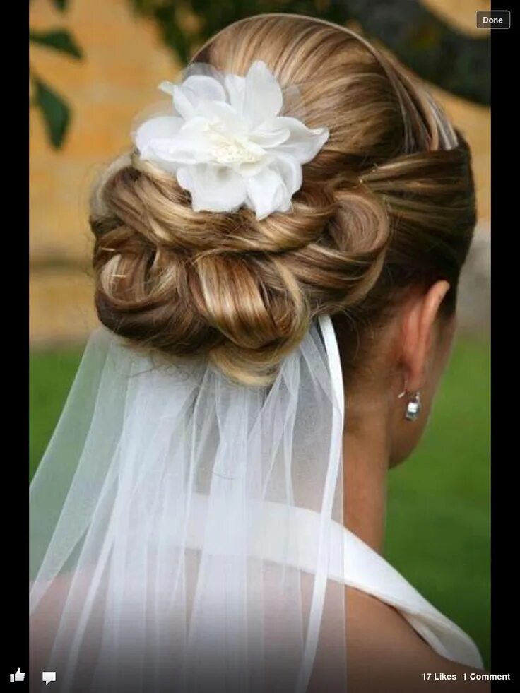 Прическа с фатой Pin by Liesel de Kock on Wedding Hair Styles Hairdo wedding, Wedding hairstyles 