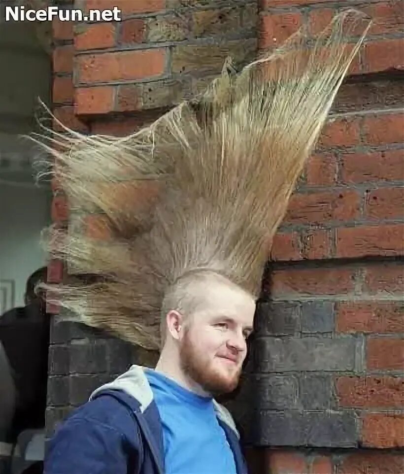 Прическа стоящие волосы Pin on What is wrong with this picture? Hair humor, Crazy hair, Bad hair