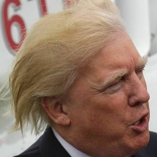 Прическа трампа фото Donald Trump Hair tries to run away Donald Trump's Hair Trump hair, Donald trump