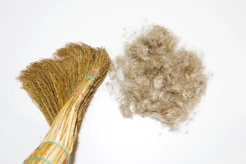 Прическа веник мужская Cleaning Concept. Broom and Wool Ball on White Background. Sweep Your Hair. Stoc