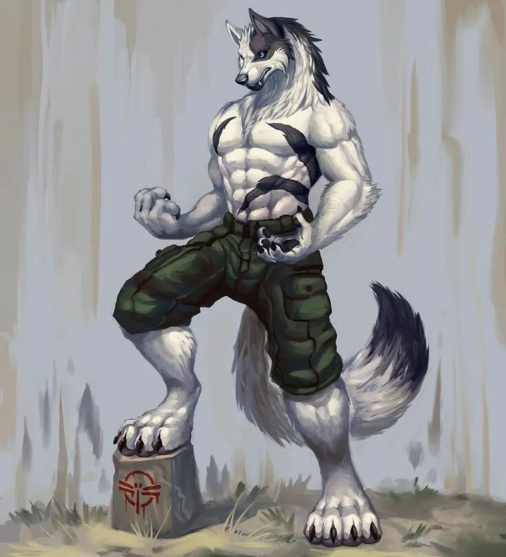 Прическа волчица мужская Pin on Werewolves Furry drawing, Anthro furry, Furry wolf