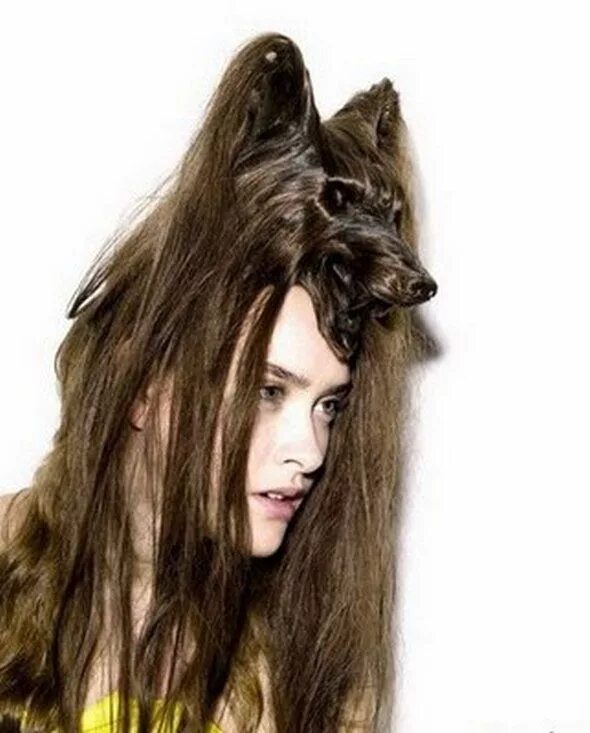 Прическа волчица мужская Weird, Creative & Funny Animal Hairstyles Hair humor, Cool hairstyles, Fancy hai