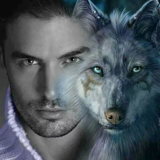 Прическа волк мужская Pin on LOBOS Wolf pictures, Fantasy wolf, Wolf love