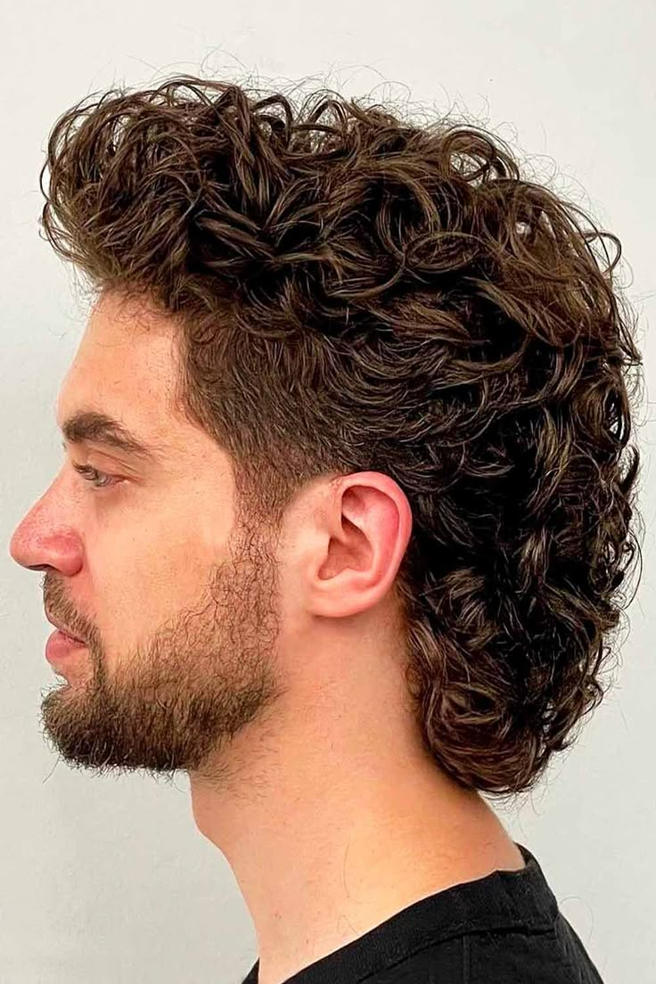 Прическа wavy мужская 45 Mullet Haircut Ideas For Swanky Guys Medium curly hair styles, Mullet haircut