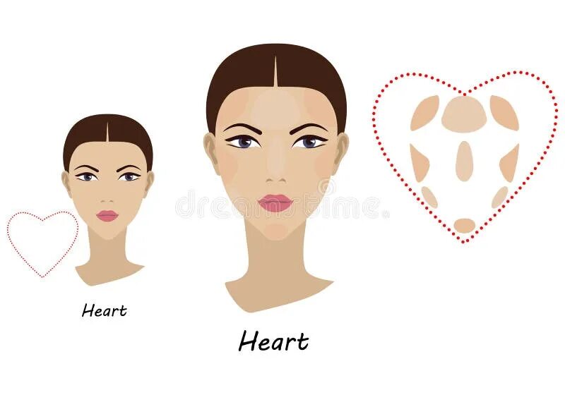 Прически для формы лица сердце женщины Contour and Makeup Highlights. Contour Shape of the Heart Face Make-up. Fashion 