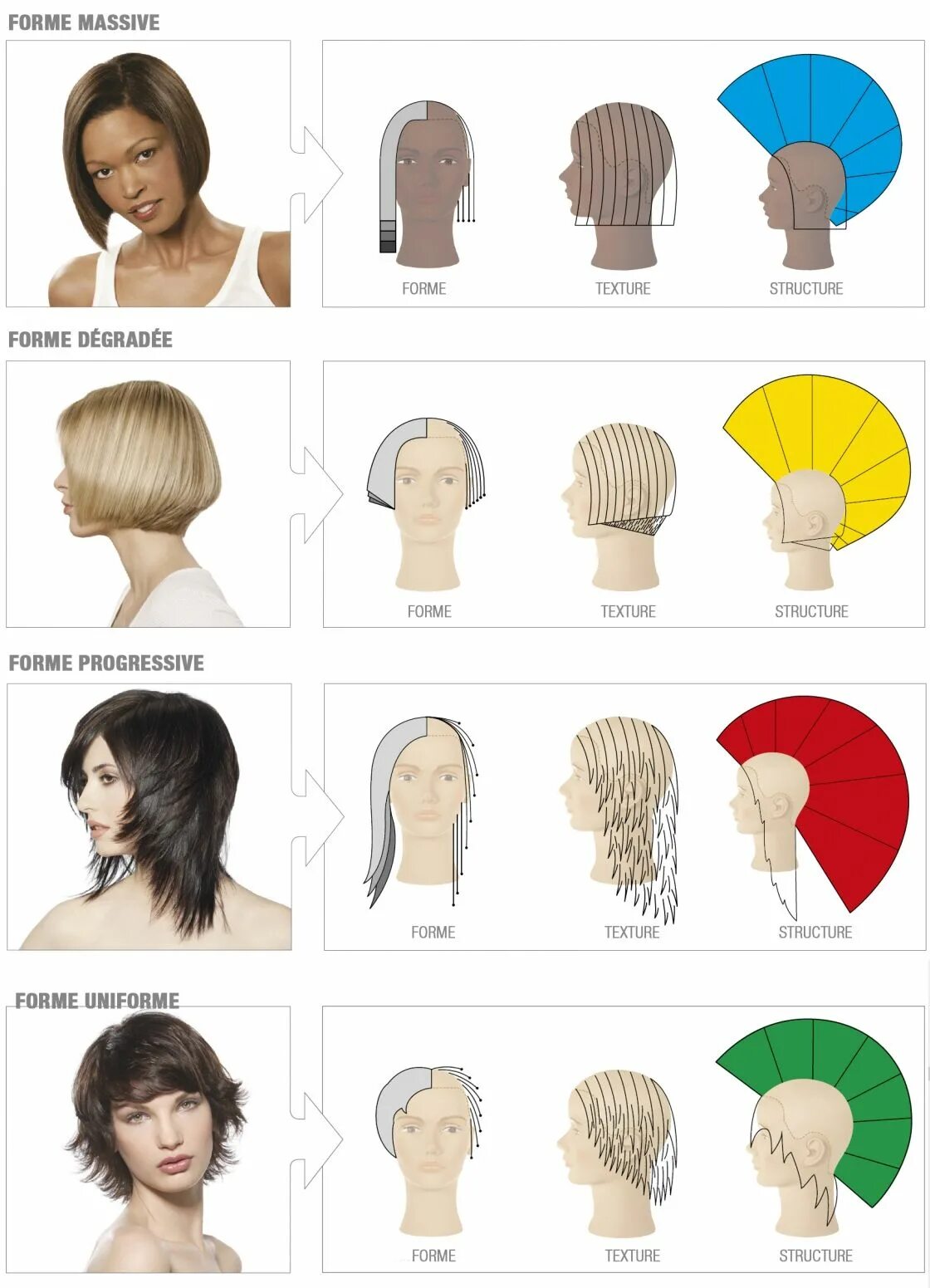 Triangle face shape with different hairstyle examples - illustration Face shape 