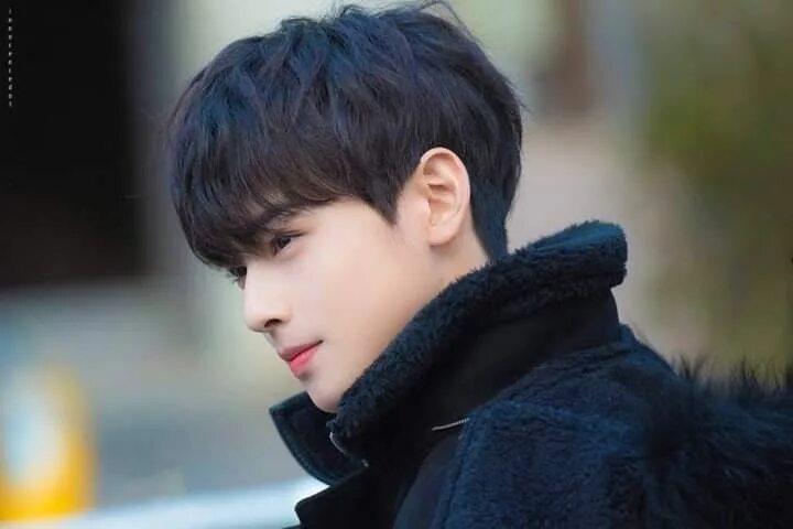 Прически из дорам мужские Pin on Cha Eun Woo Cha eun woo, Cha eun woo astro, Eun woo astro