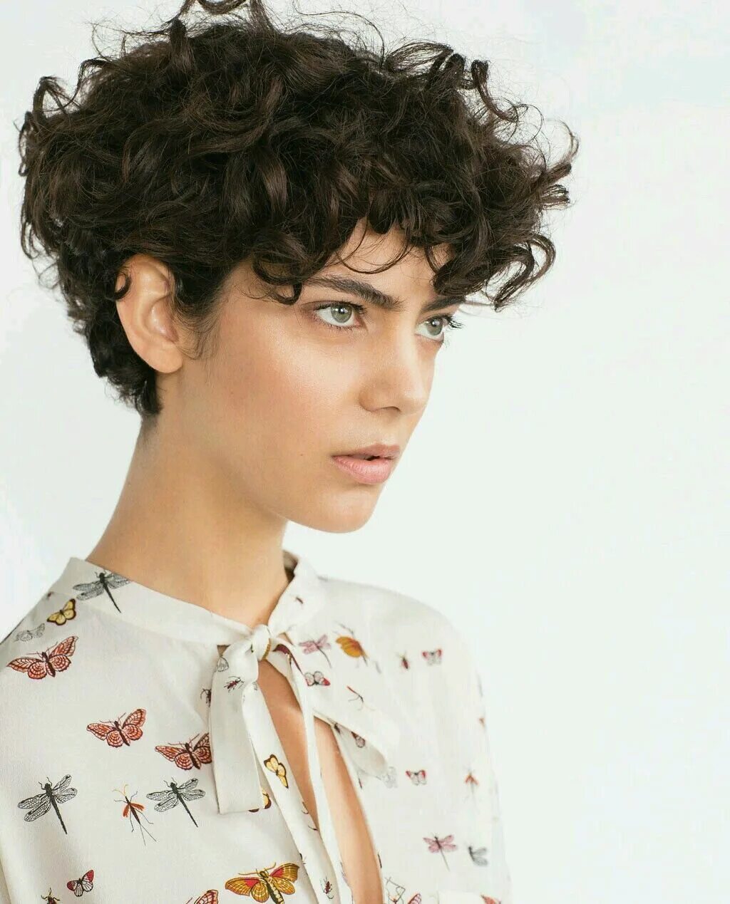 Прически короткие женские кудрявые Curly Hair Short Haircuts for curly hair, Curly hair women, Short curly haircuts