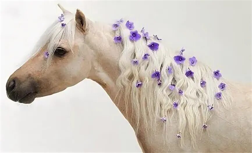 Прически лошадей фото Horse flower crown mane 2017 HoRsA - мир конника ║ Товары с Лошадьми ВКонтакте