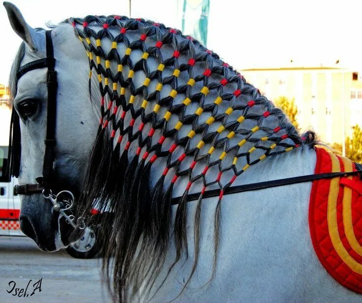 Прически лошадей фото #horseriding #horserider #equine Horse Riding Horse braiding, Horse mane, Horse 