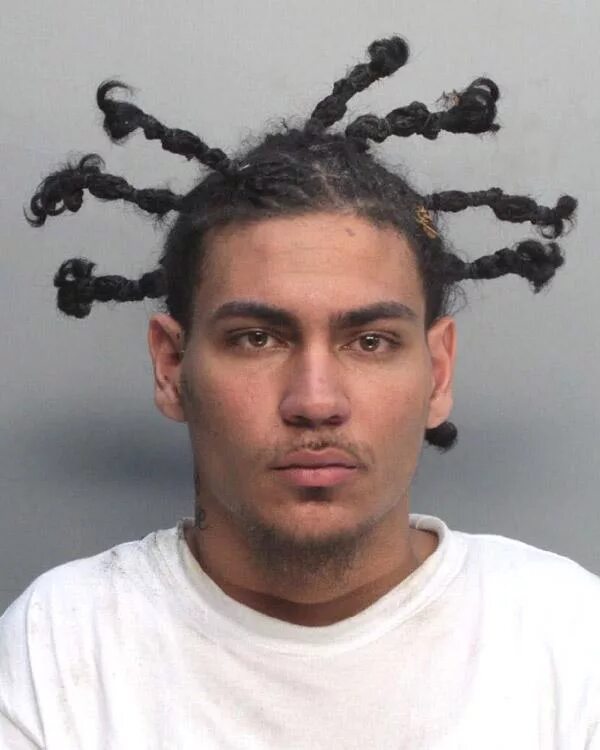 Прически людей Hilarious mugshots show criminals with dopey facial expressions and bonkers hair