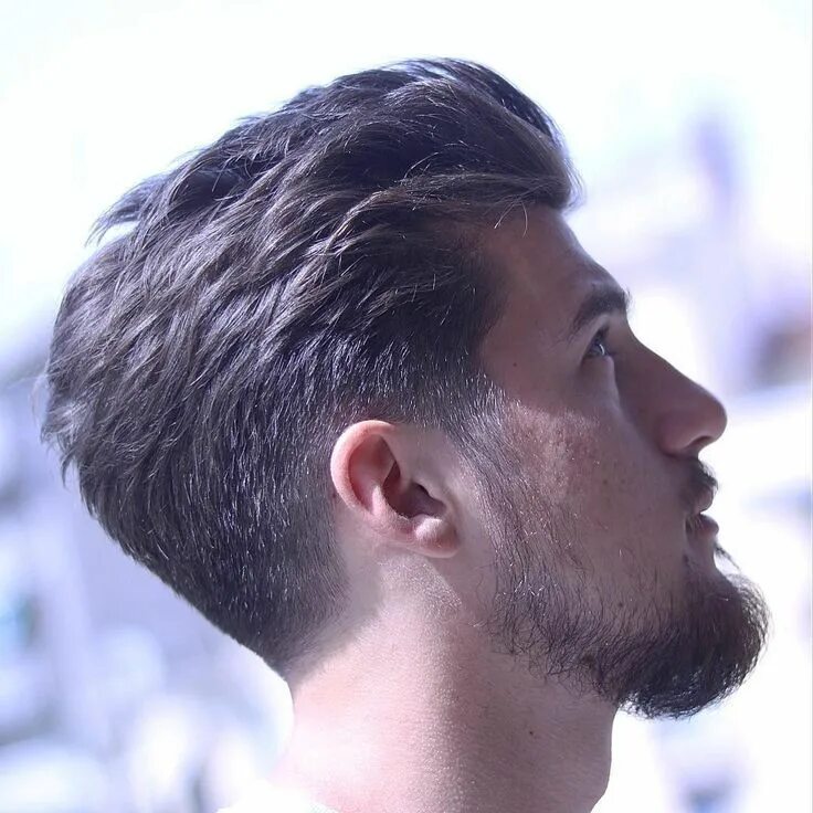 Прически мужские много волос The+Taper+Haircut+-+Men's+Hairstyle+TrendsFacebookGoogle+InstagramPinterestTwitt