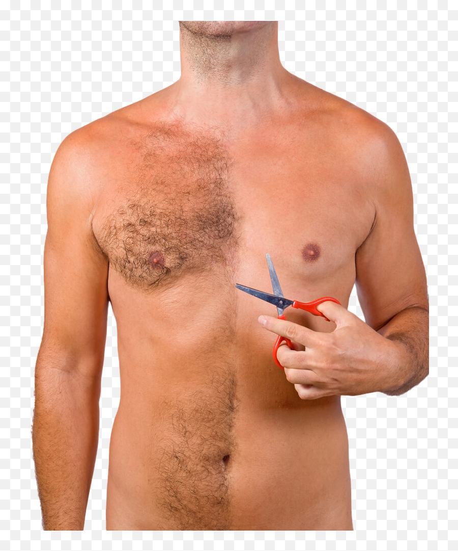 Прически мужских лобков Body Hair Transplant - Body Hair Transparent Png,Chest Hair Png - free transpare