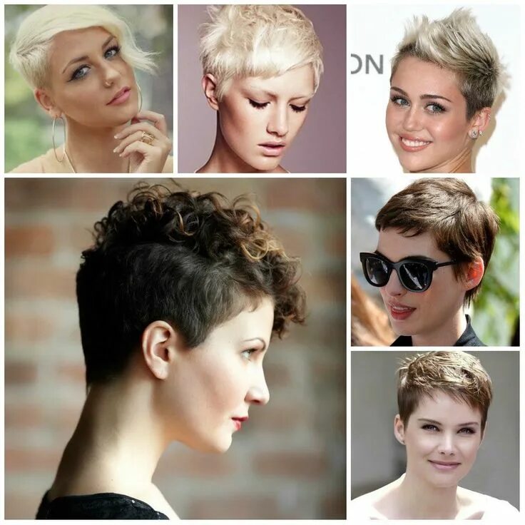 Прически на короткие волосы с гелем Corto y Moderno Pixie haircut styles, Pixie haircut, Hair styles 2016