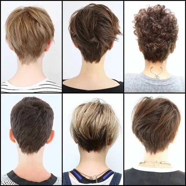 Прически на короткие волосы вид сзади Caimento atrás - ultimo corte Short pixie haircuts, Short hair styles, Pixie hai