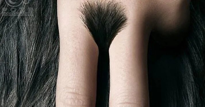 Прически на лобке фото Female pubic hair: найдено 89 картинок