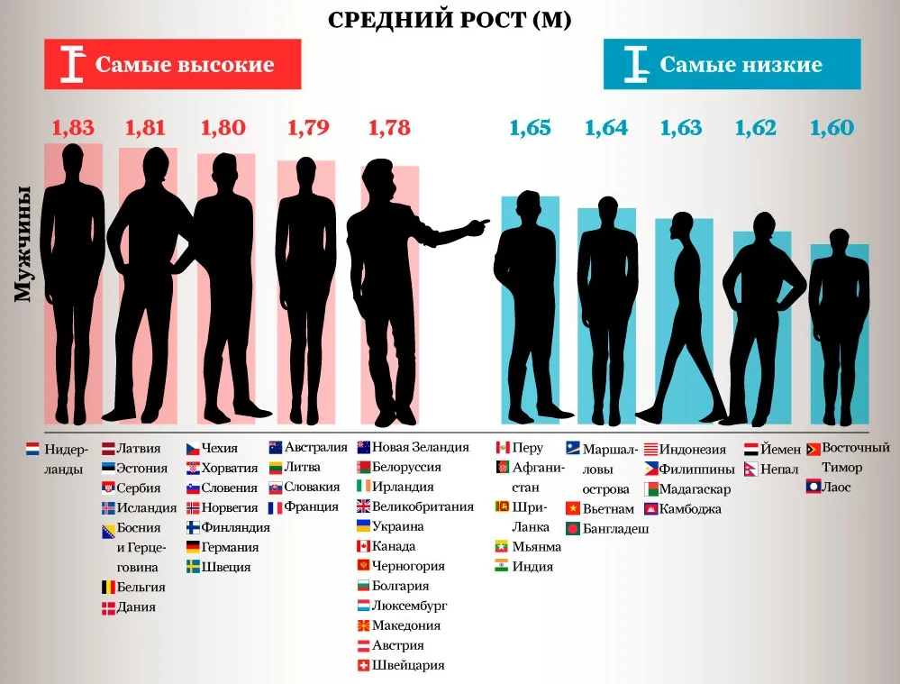 Прически на средний рост Где рост