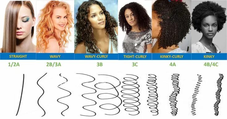 Прически на средний тип волос Image result for curl types Hair patterns, Hair type, Hair type chart