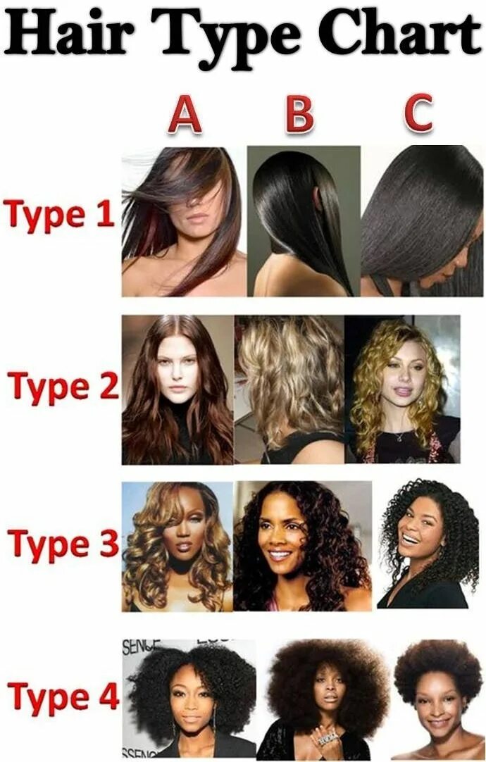 Прически на средний тип волос Hair type chart, Natural hair types, Different hair types