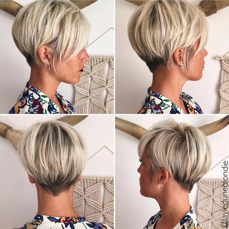 Прически пикси боб фото женские @shorthair_love on Instagram: "@lavieduneblondie #shorthairlove #hairstyle #hair