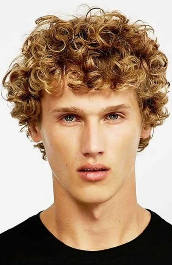 Прически с хим завивкой мужские 47 Best Perm Hairstyle Looks to Look your best with Curls Men's curly hairstyles