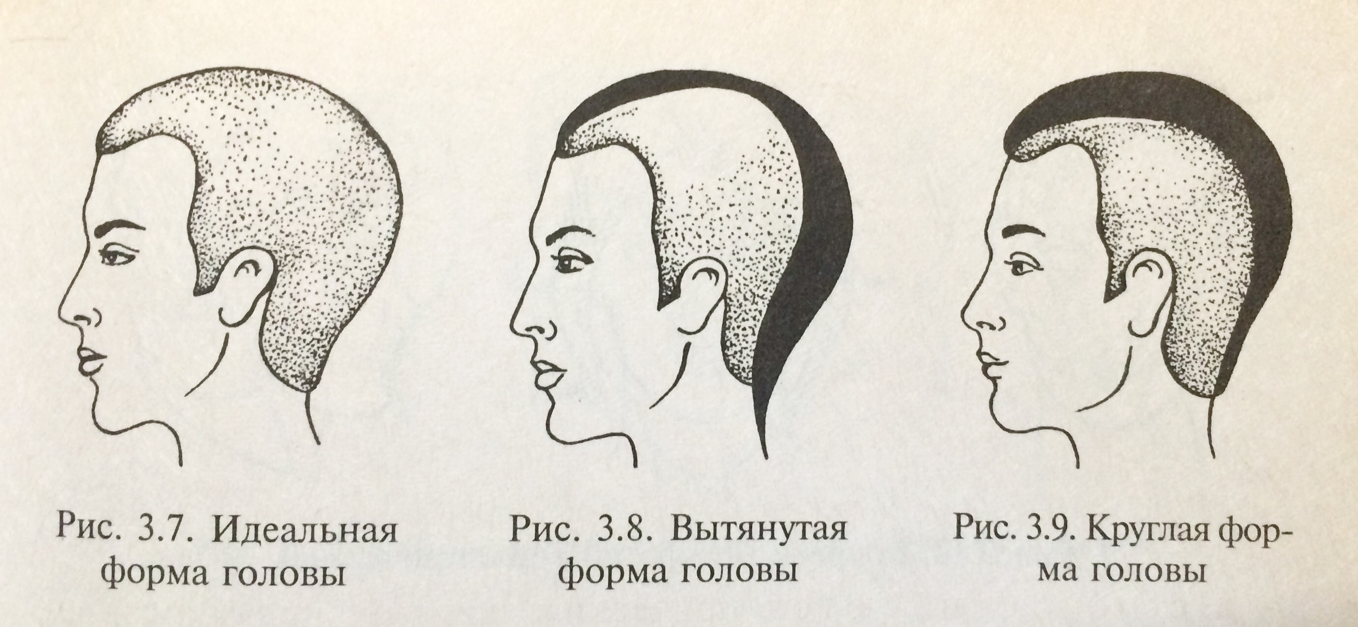 Прически сколько Формы головы и прически - Типы лица и стрижки (67 фото)