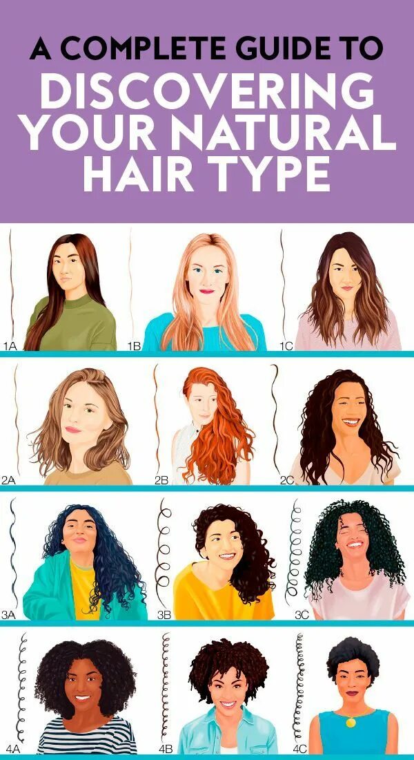 Прически средних типов волос A Complete Guide To Discovering Your Natural Hair Type Natural hair types, Hair 