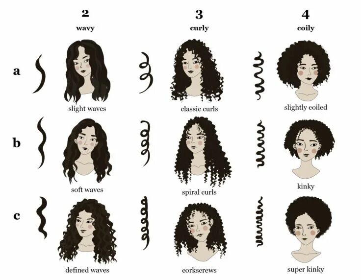 Прически средних типов волос know thy curl type: not all curls are the same. by Michelle Lee Chang Medium Typ