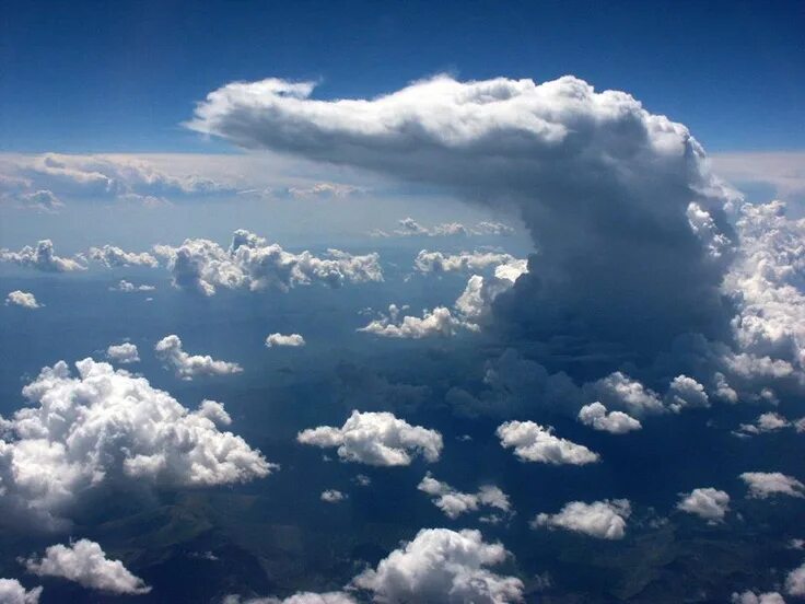 Причудливые облака фото Crocodile in the Clouds Nature's beautiful animal creations are captured on came