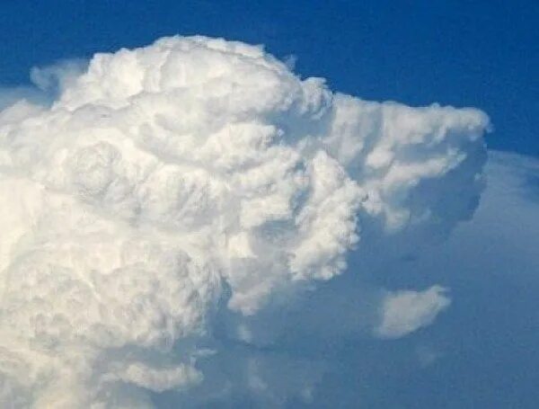 Причудливые облака фото Top 10 Fluffy Clouds That Look Like Animals Clouds, Like animals, High clouds