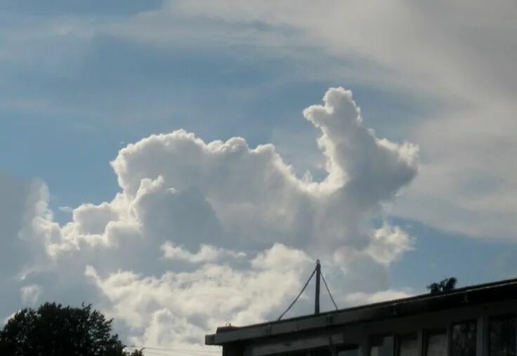 Причудливые облака фото Rabbit shaped cloud, or a duck on his back? Lol. Clouds, Cumulus clouds, Nature