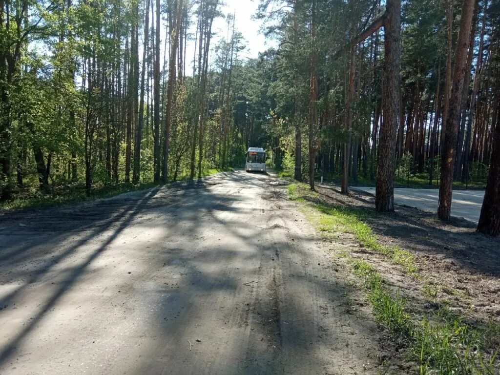 Пригородный лес фото Тамбовские чиновники рассказали о судьбе полуразрушенной дороги в застраивающемс