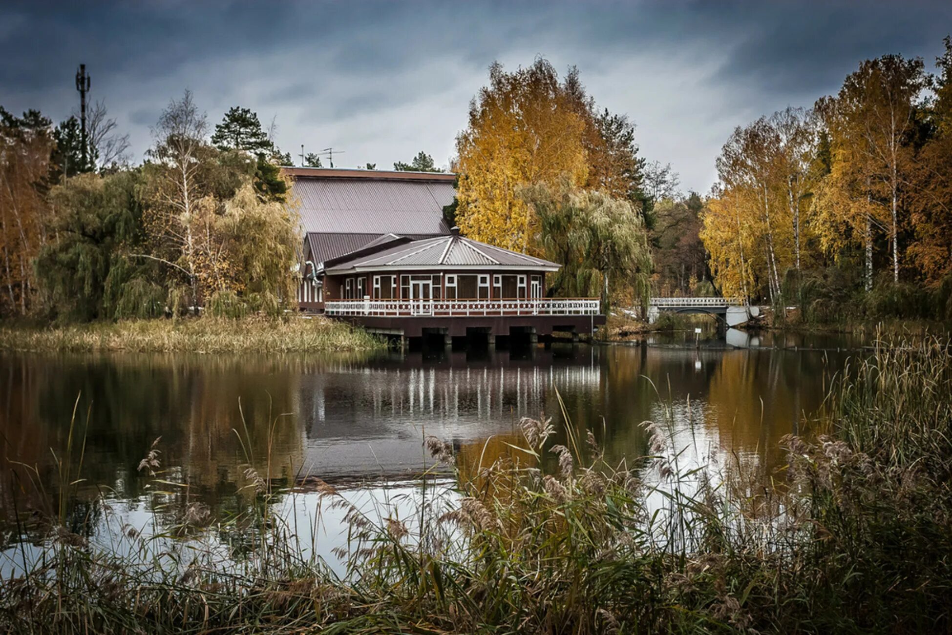 Пригородный лес фото Места для фотосессии в Тамбове