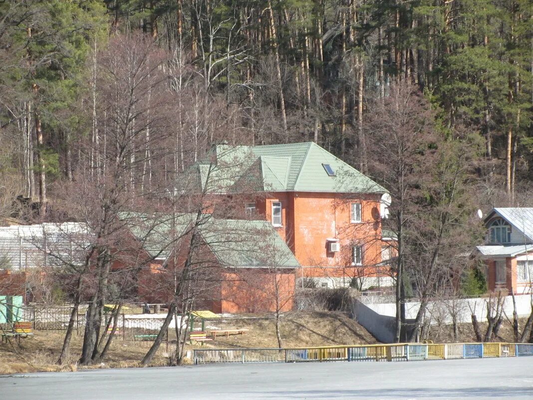 Пригородный лес тамбов фото Тамбов. Пригородный лес :: Герович Лилия - Социальная сеть ФотоКто