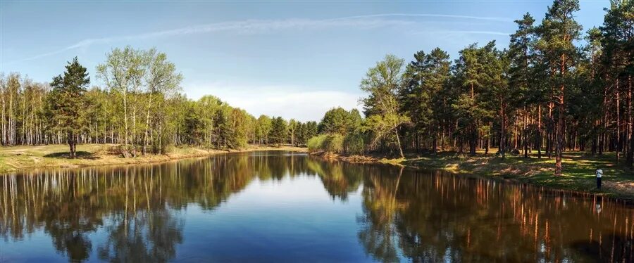 Пригородный лес тамбов фото Фото жизнь - bine - Недалеко от Мурома - Пруд в пригородном лесу