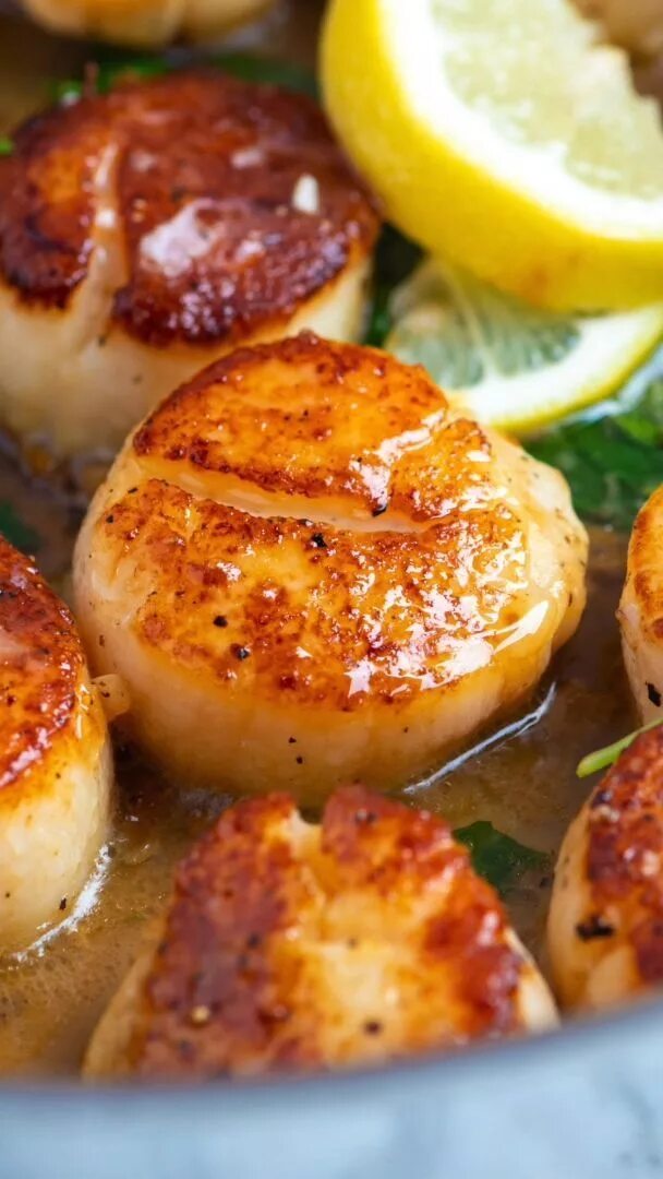 Приготовить морские гребешки фото Perfect Seared Scallops Recipe Seafood dinner, Seafood recipes, Salmon recipes