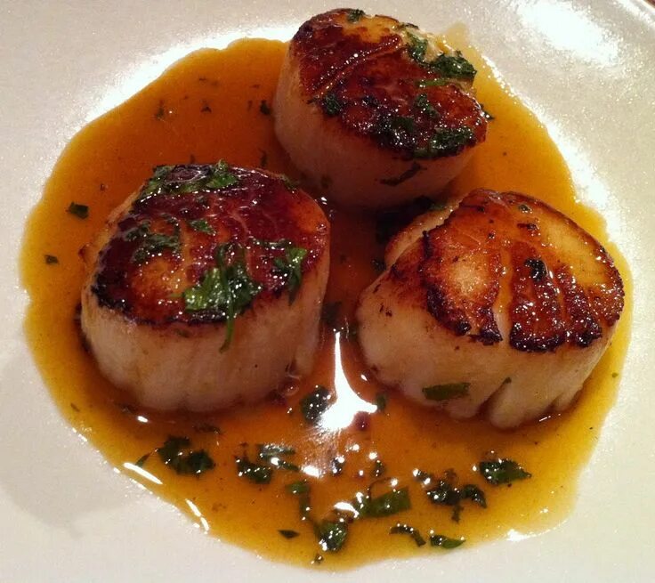 Приготовить морские гребешки фото Seared Scallops with Citrus Herb Sauce Scallop recipes, Recipes, Scallops seared