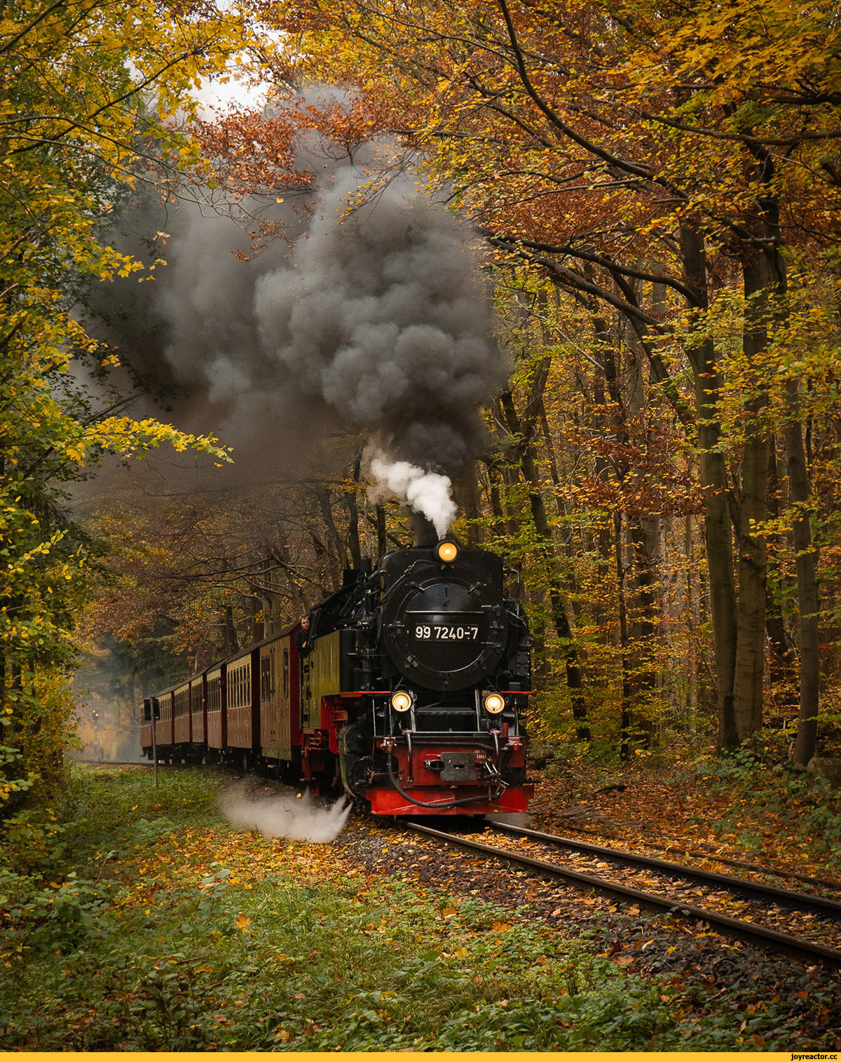 Прикол девушки в поезде фото Train to Autumn / Природа :: пейзаж :: поезд :: Осень :: лес :: паровоз :: краси