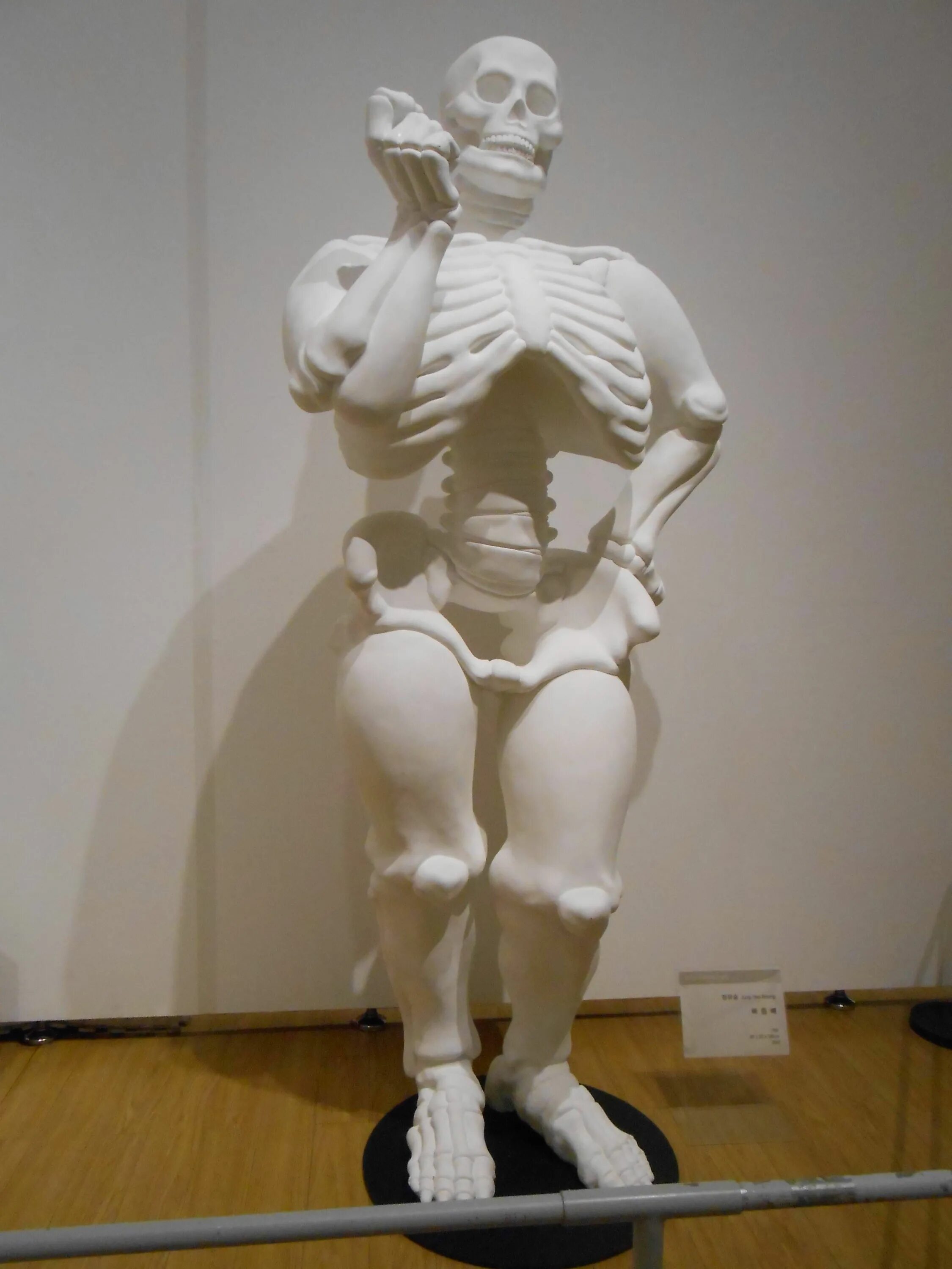 Прикол фото кость I'm just big-boned. - Imgur Big boned, Funny pictures, Funny memes