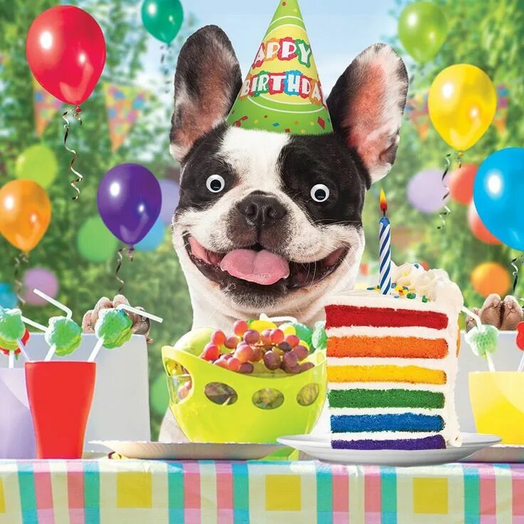 Прикол фото с днем рождения женщине Pin by Sonia Solis on Birthday Funny birthday cards, Singing birthday cards, Hap